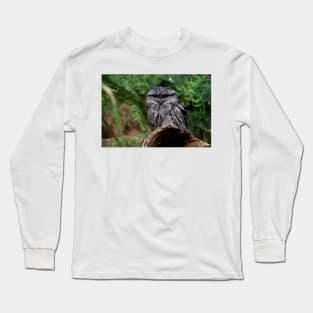 Tawny Frogmouth Long Sleeve T-Shirt